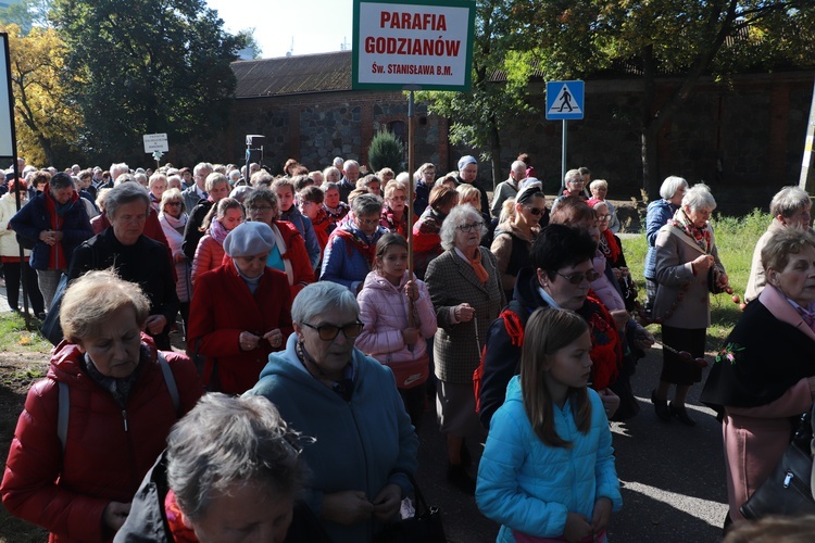 Domaniewice. Diecezjalna Pielgrzymka Kół Żywego Różańca