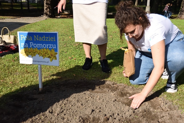 Inauguracja akcji 7 hospicjów w Gdańsku