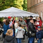 Nowa Sól. Parafialny piknik franciszkański