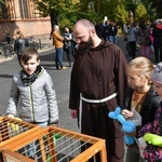 Nowa Sól. Parafialny piknik franciszkański