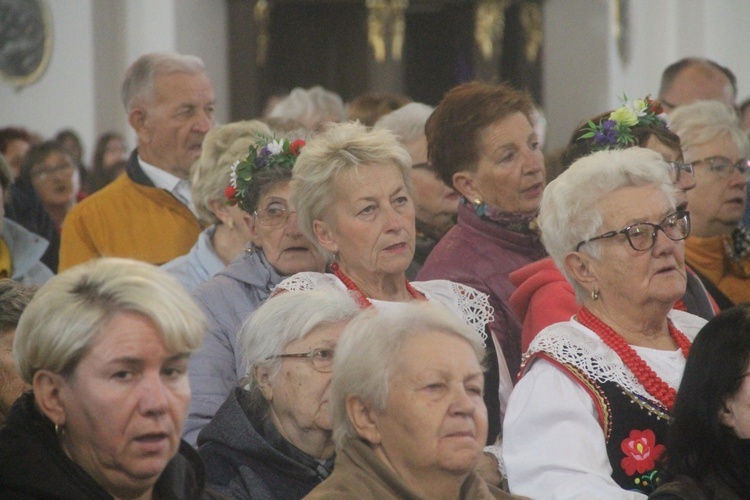 Róże u Mamy