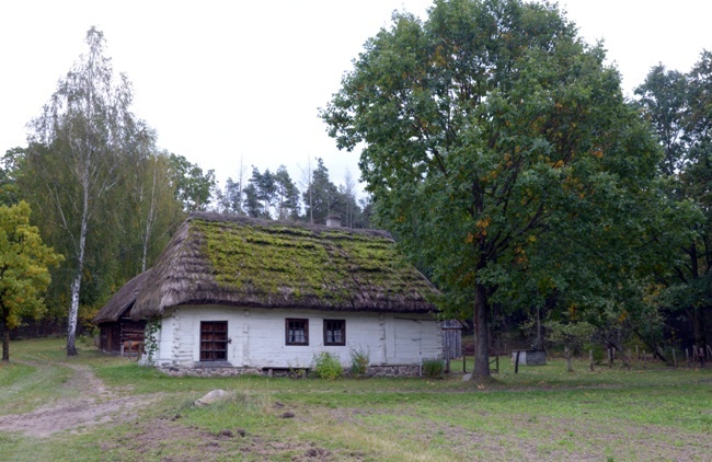 Festiwal Ziemniaka w Muzeum Wsi Radomskiej