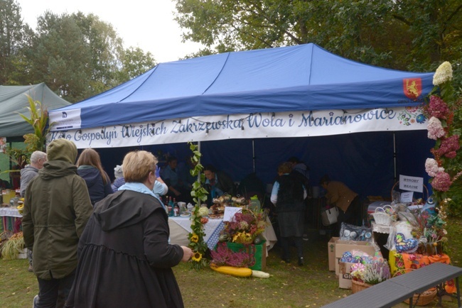 Festiwal Ziemniaka w Muzeum Wsi Radomskiej