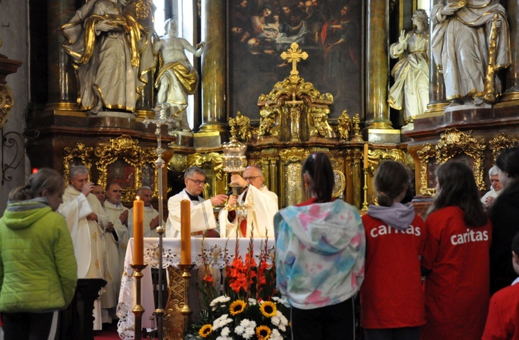 Pielgrzymka Caritas do Trzebnicy