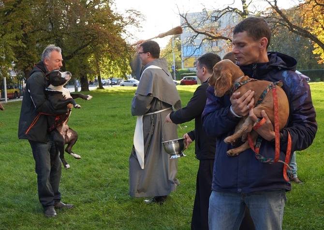 Błogosławieństwo zwierząt w dzień św. Franciszka z Asyżu