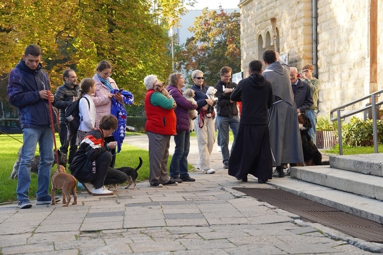 Błogosławieństwo zwierząt w dzień św. Franciszka z Asyżu