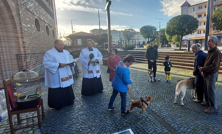 Błogosławieństwo zwierząt przy katedrze