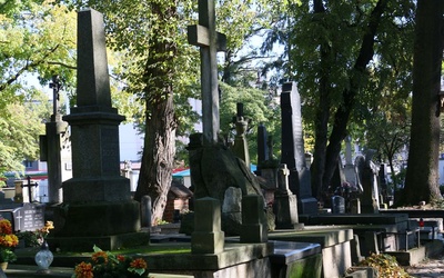 W Lublinie obok starych cmenatrzy planowana jest nowa nekropolia.