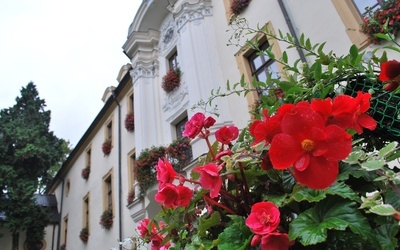 Polscy biskupi będą obradować w Kamieniu Śląskim