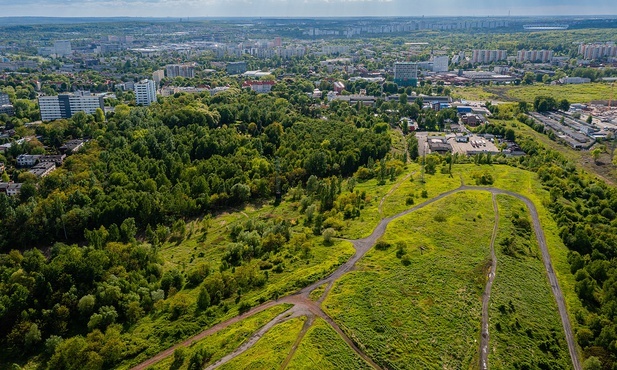 Katowice. Miasto stawia na zieleń - powstaną nowe parki