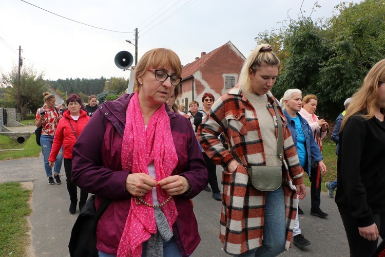 VI Piesza Pielgrzymka z Brzegu Dolnego do Łososiowic