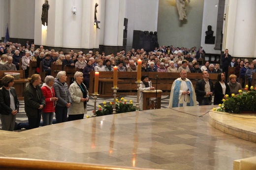 XI Pielgrzymka Żywego Różańca w katedrze w Katowicach