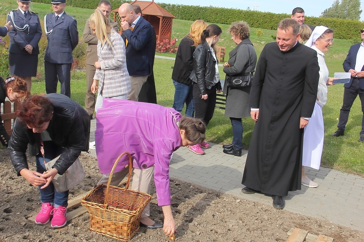 Pola Nadziei w Darłowie