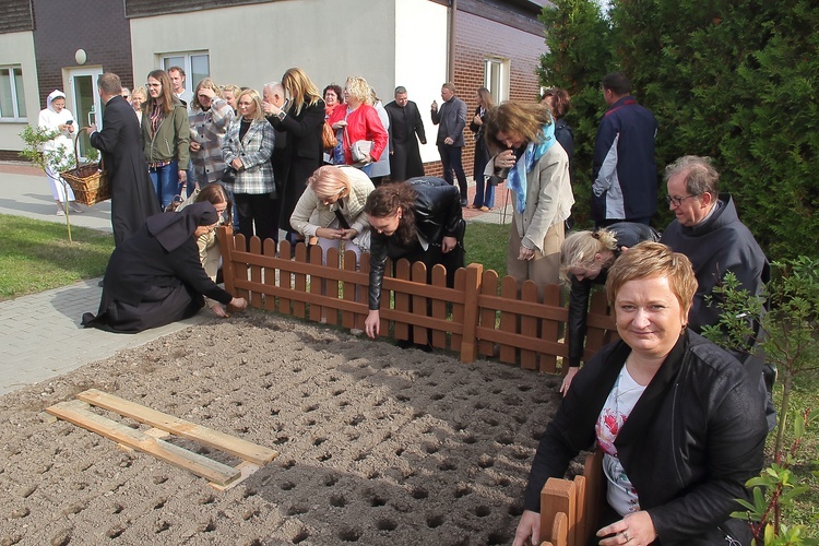 Pola Nadziei w Darłowie