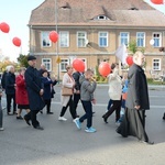 Marsz dla Życia i Rodziny w Opolu