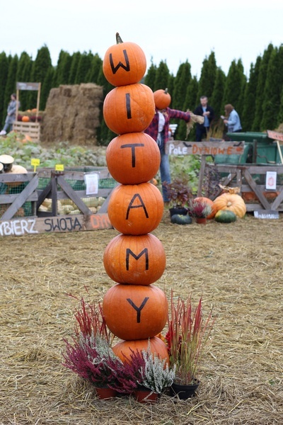 Z wizytą na farmach dyniowych