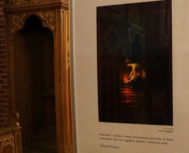 Edyta Stein, ciemność i światło