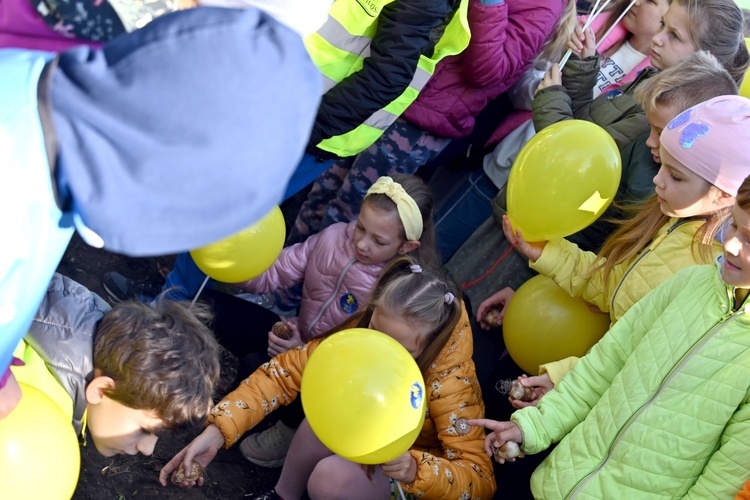 Tu zakwita dobro. Pola Nadziei w Świdnicy