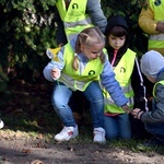 Tu zakwita dobro. Pola Nadziei w Świdnicy