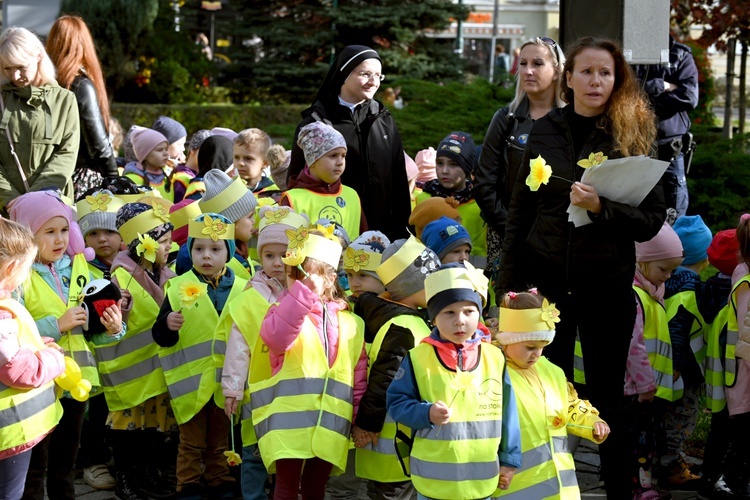 Tu zakwita dobro. Pola Nadziei w Świdnicy