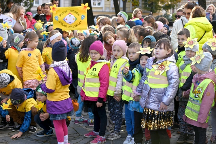 Tu zakwita dobro. Pola Nadziei w Świdnicy