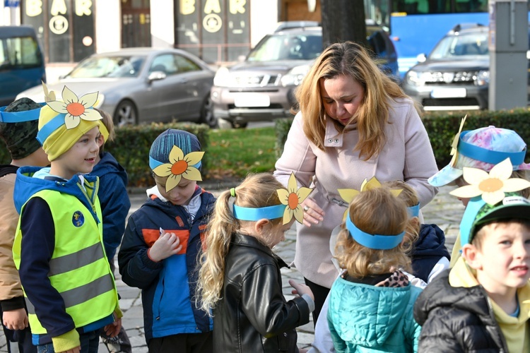 Tu zakwita dobro. Pola Nadziei w Świdnicy