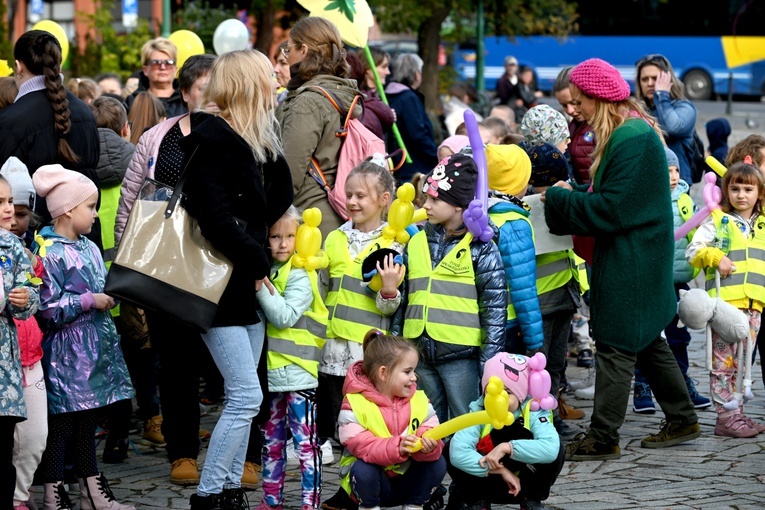 Tu zakwita dobro. Pola Nadziei w Świdnicy