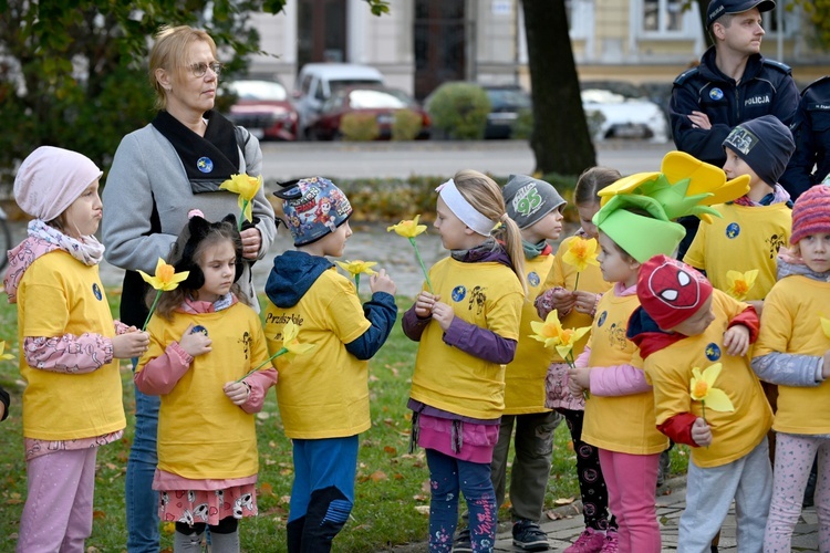 Tu zakwita dobro. Pola Nadziei w Świdnicy