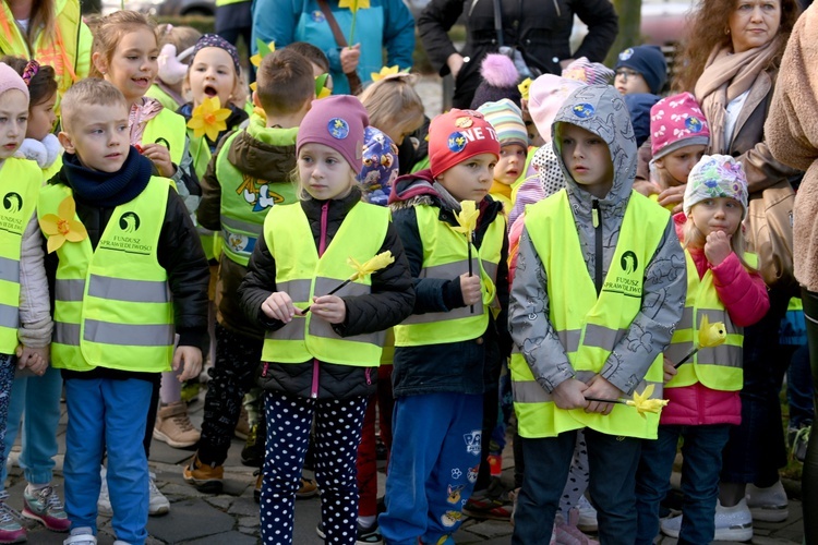 Tu zakwita dobro. Pola Nadziei w Świdnicy