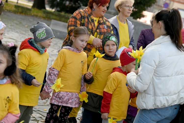 Tu zakwita dobro. Pola Nadziei w Świdnicy