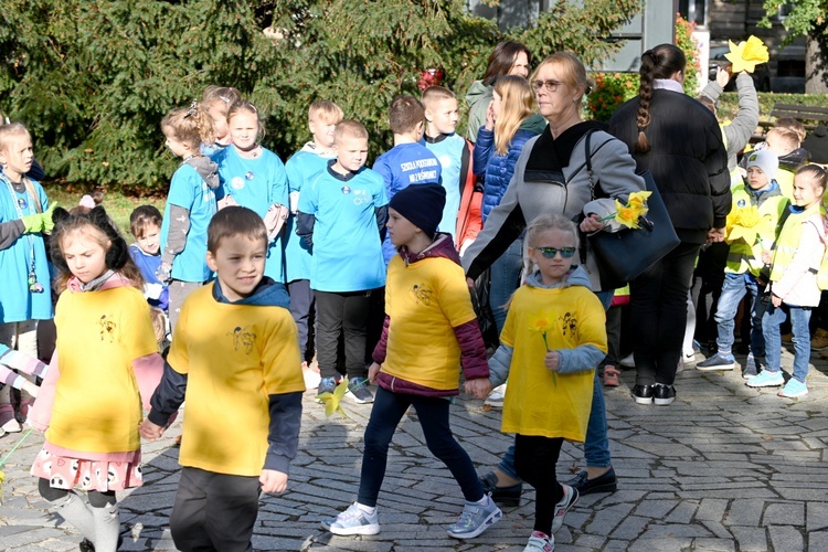 Tu zakwita dobro. Pola Nadziei w Świdnicy