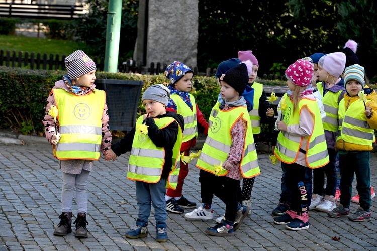 Tu zakwita dobro. Pola Nadziei w Świdnicy