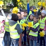 Tu zakwita dobro. Pola Nadziei w Świdnicy