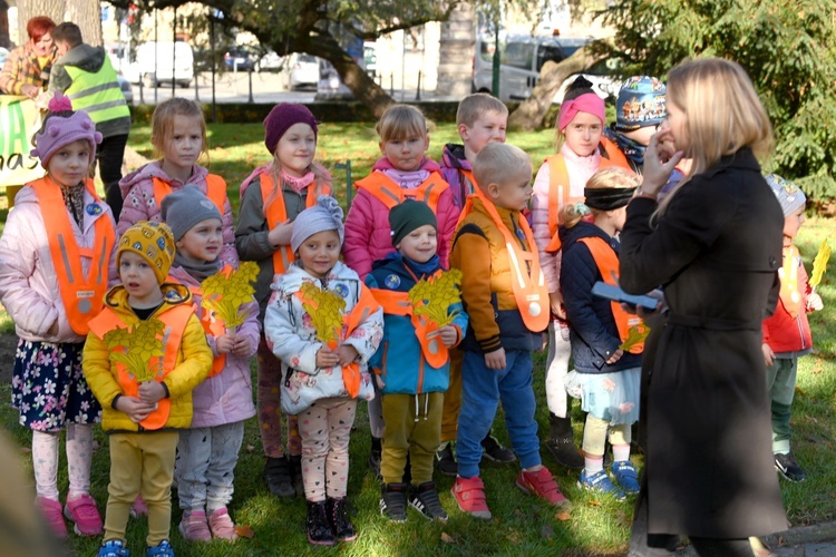 Tu zakwita dobro. Pola Nadziei w Świdnicy