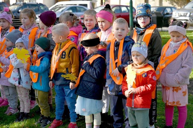 Tu zakwita dobro. Pola Nadziei w Świdnicy