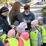 Tu zakwita dobro. Pola Nadziei w Świdnicy