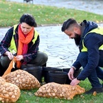 Tu zakwita dobro. Pola Nadziei w Świdnicy