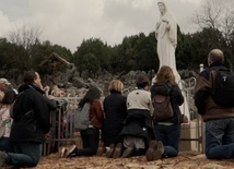 Owoce Medjugorje