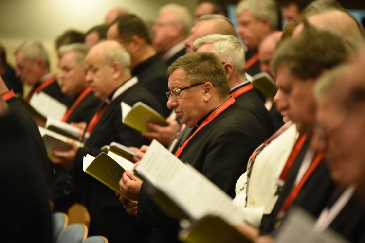 VII. Sesja Plenarna V SDT