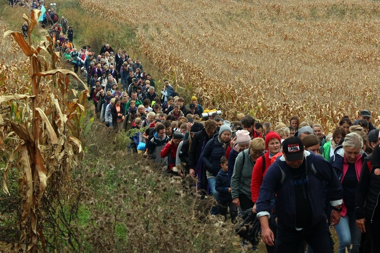 Pielgrzymka trzebnicka 2022 cz. 3