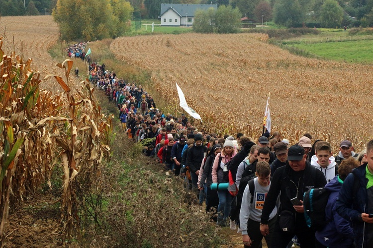 Pielgrzymka trzebnicka 2022 cz. 3