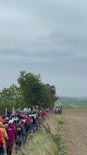 Pielgrzymka trzebnicka z Bagna i Obornik Śląskich