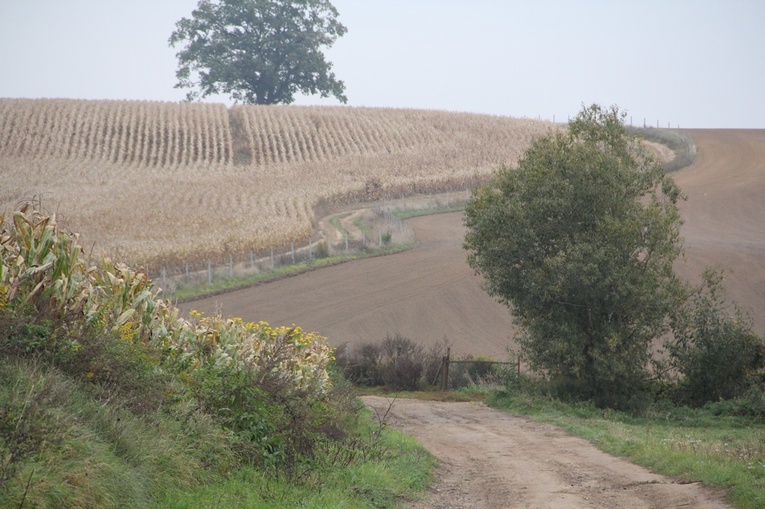 Pielgrzymka trzebnicka 2022 cz. 9