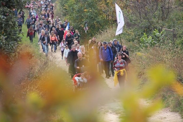 Pielgrzymka trzebnicka 2022 cz. 10