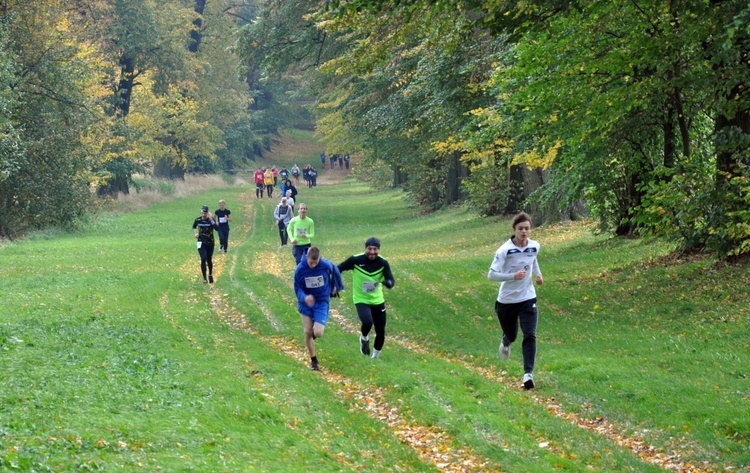 Bieg papieski na Górze Świętej Anny