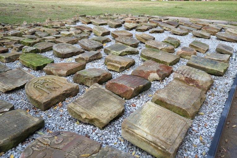 80. rocznica zagłady opatowskich Żydów