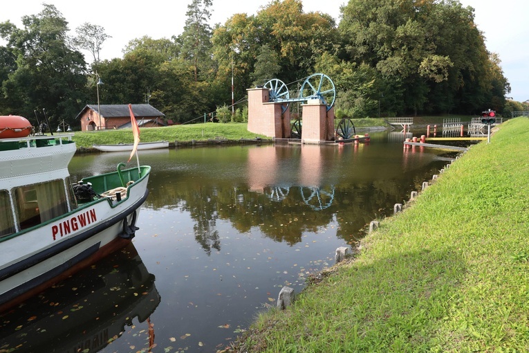 Tam gdzie statki pływają po trawie