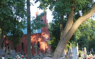 Budowla w Dobrzyniu  n. Drwęcą upamiętnia m.in. mieszkańców miasta walczących o wolność ojczyzny.