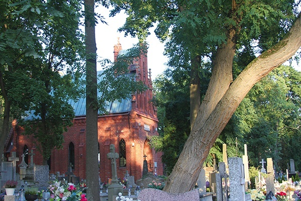 Budowla w Dobrzyniu  n. Drwęcą upamiętnia m.in. mieszkańców miasta walczących o wolność ojczyzny.