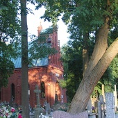 Budowla w Dobrzyniu  n. Drwęcą upamiętnia m.in. mieszkańców miasta walczących o wolność ojczyzny.